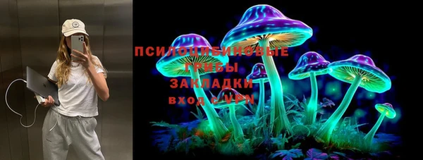 дмт Гусиноозёрск