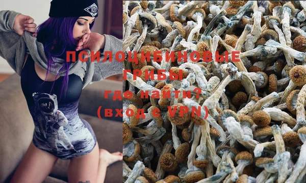 стаф Нягань