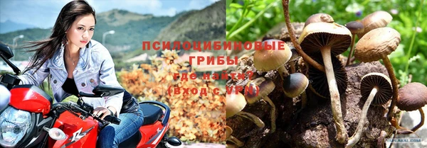 MESCALINE Нязепетровск