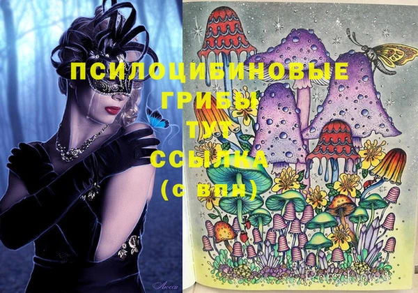стаф Нягань