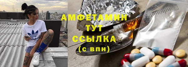 ГАЛЛЮЦИНОГЕННЫЕ ГРИБЫ Новозыбков
