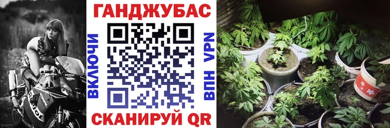 Каннабис планчик  даркнет клад  Певек 